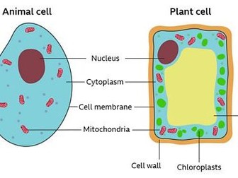 SEND Secondary Science BTEC Biology