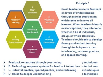 Principle 6: Responsive teaching