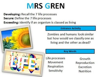 GCSE Biology: MRS GREN (Lesson 1)