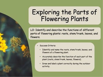 Exploring Parts of a Flowering Plants