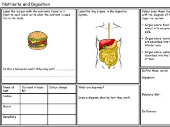 KS3 Nutrients and Digestion Revision Sheet