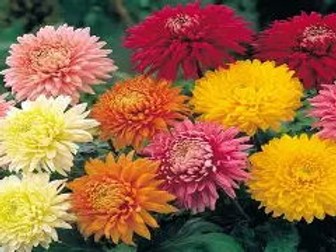 Eduqas Component 1 style paper