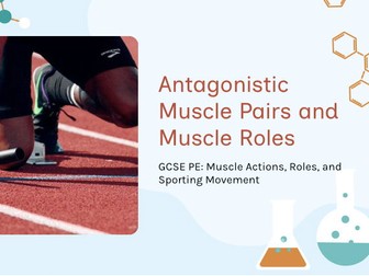 OCR GCSE Yr 10-11: Antagonistic Muscle Pairs and Muscle Roles in Movement