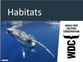 Whale and Dolphin habitats and adaptation resource pack - Free