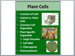 Plant Cells - PowerPoint Lesson and Student Notes Package