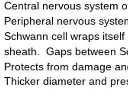 Edexcel A Level Biology Topic 9 Control Systems Nervous System