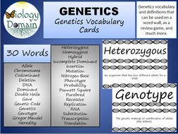 Genetics Word Wall Vocabulary Cards | Teaching Resources