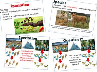 Speciation