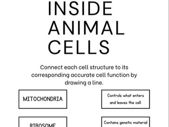 Cell differences and Body Systems