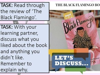 The Black Flamingo - L11: Plot Review