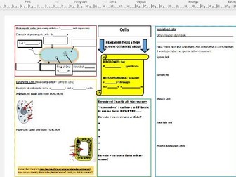 AQA Foundation Cells Revision Crib Sheet