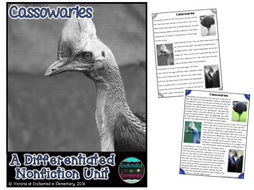 Differentiated Nonfiction Unit: Cassowaries