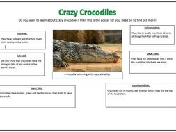 Animals Non Chronological Report Planning KS1 - T4W | Teaching Resources