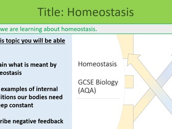 Homeostasis Lesson GCSE Biology