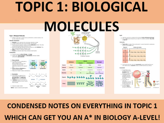A-Level Biology Revision Guide Topic 1 Biological Molecules