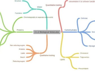 OCR A-level Biology Module 2 Mindmaps