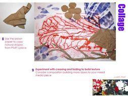 Artist research - Judith Pfaff - Printing & Mixed media - Natural Forms