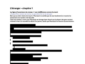 l'étranger - chapitre 1 notes