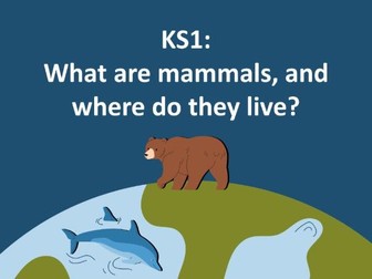 What are mammals and where do they live? Presentation