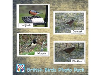 British Birds Photo Pack