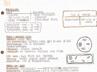 combined science summaries