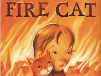 Year 2 Diaries planning - Great Fire Of London English Writing Unit (using book Fire Cat)