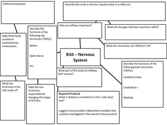 AQA Biology/Trilogy Paper 2 Complete Revision Mats with ANSWERS (New Spec. 1-9)