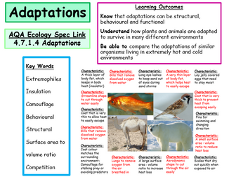 New AQA Ecology Secification- Adaptations- Powerpoint and Worksheets