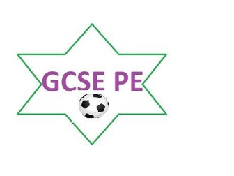 GCSE PE Revision Connect 6 Game (edexcel)