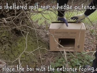 Learn at Chester Zoo - How to make a hedgehog house [VIDEO]
