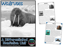 Differentiated Nonfiction Unit: Walruses