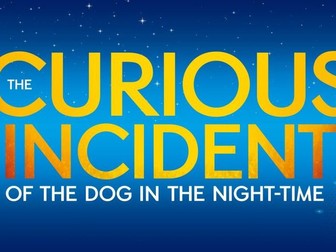 Curious Incident of the Dog in the Night Time workbook