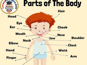 Identifying parts of the body