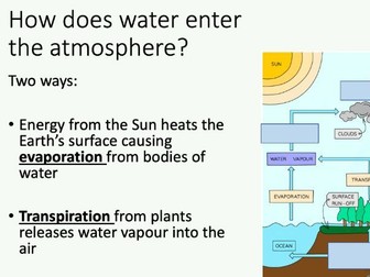 GCSE Edexcel Ecosystems topic