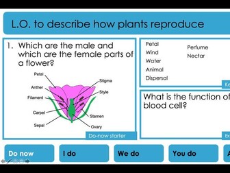 Flower Reproduction and Seed Dispersal
