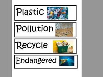 Plastic Pollution Key Vocab