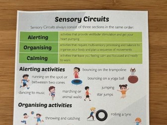 Sensory Circuits Poster