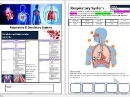 Gcse pe homework help Gcse pe homework help