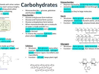 A level AQA Biology Chapter 1