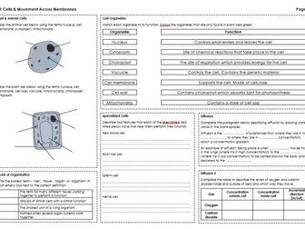 WJEC B1.1 Biology Revision Sheet - Cells & Movement Across Cell Membranes