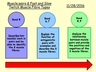 NEW GCSE PE SPEC Fitness and Body Systems whole unit with resources