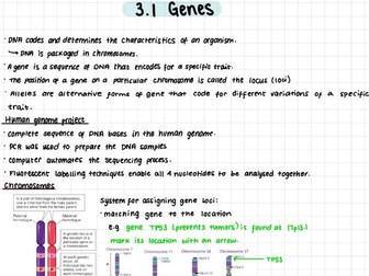 Topic 3 Genetics - IB biology