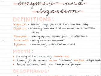 AQA A Level Biology Topic 3 Notes