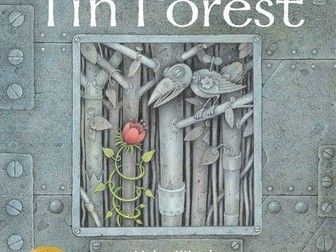 The Tin Forest unit of work