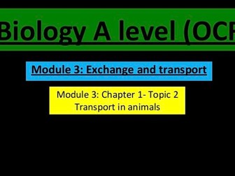 Animal transport lesson (A level biology)