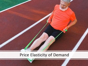 Price Elasticity of Demand (Edexcel A Level Business 1.2.4)