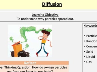 Year 7 Diffusion.