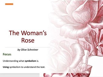 The Woman's Rose: short story by Olive Schreiner