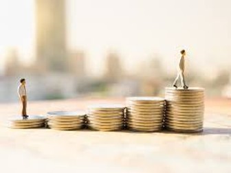 2.2.4 Financial and Non Financial Motivators