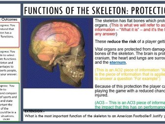 EDEXCEL GCSE PE 1.1.1 THE FUNCTIONS OF THE SKELETAL SYSTEM - PRESENTATION AND COMPREHENSIVE WORKSHEE